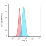 Flow Cytometry - Anti-GFAP Antibody [GA-5] - BSA and Azide free (A251886) - Antibodies.com