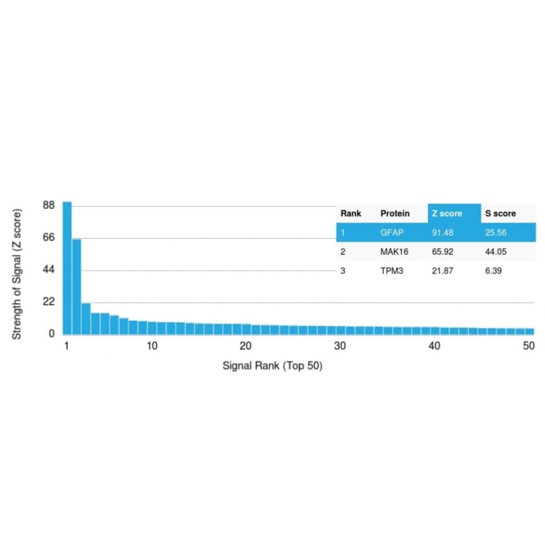 Protein Array - Anti-GFAP Antibody [GFAP/2076] - BSA and Azide free (A251891) - Antibodies.com