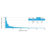 Protein Array - Anti-Glutathione S Transferase Mu 1 Antibody [CPTC-GSTMu1-3] - BSA and Azide free (A251955) - Antibodies.com