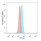 Flow Cytometry - Anti-GTF2H2 Antibody [PCRP-GTF2H2-1B9] - BSA and Azide free (A251968) - Antibodies.com