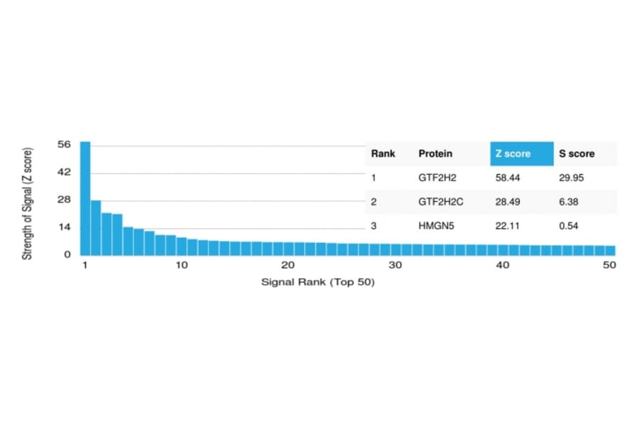 Protein Array - Anti-GTF2H2 Antibody [PCRP-GTF2H2-1B9] - BSA and Azide free (A251967) - Antibodies.com