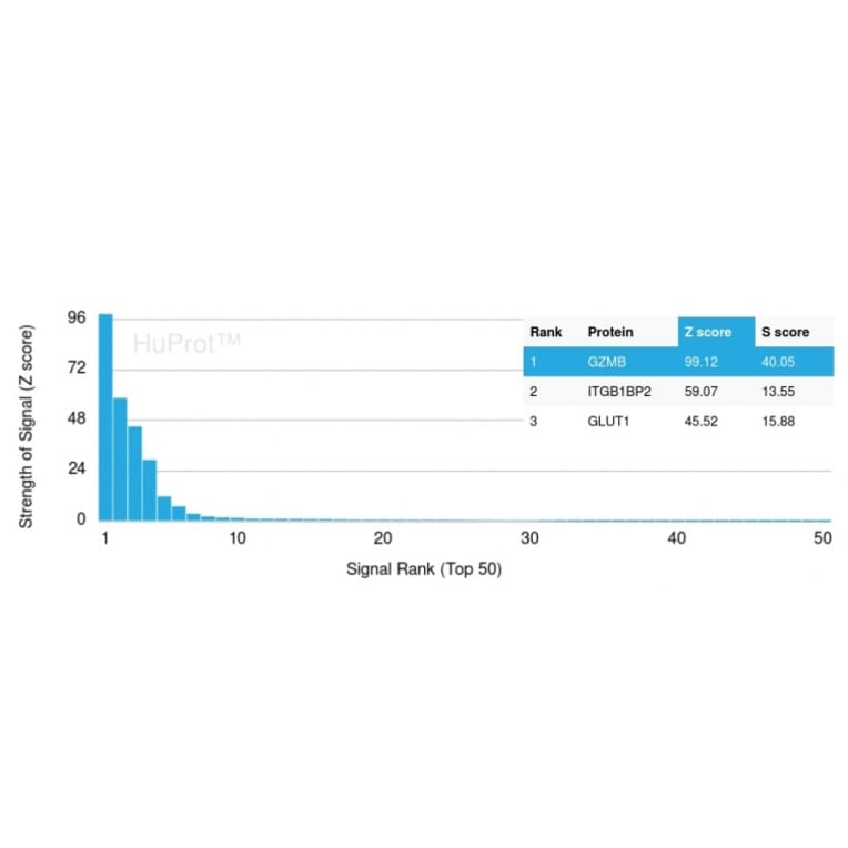 Protein Array - Anti-Granzyme B Antibody [GZMB/3056] - BSA and Azide free (A251980) - Antibodies.com