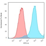 Flow Cytometry - Anti-HSP27 Antibody [CPTC-HSPB1-2] - BSA and Azide free (A252055) - Antibodies.com