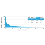 Protein Array - Anti-Kappa Light Chain Antibody [rL1C1] - BSA and Azide free (A252153) - Antibodies.com