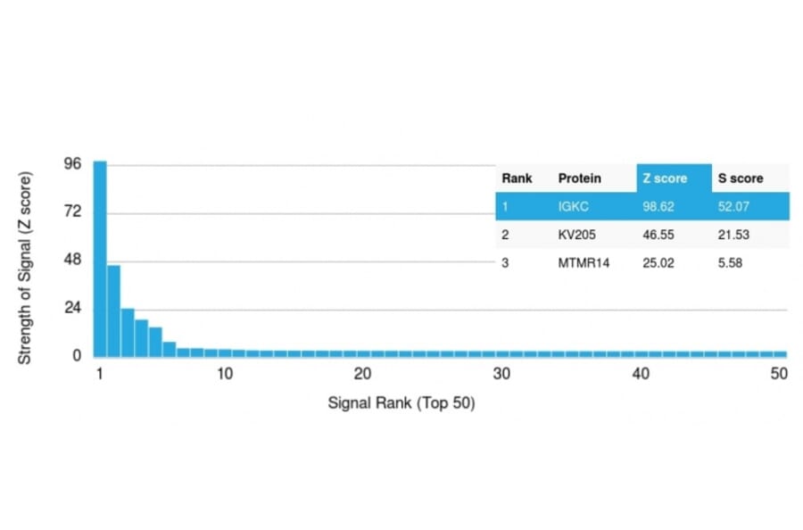 Protein Array - Anti-Kappa Light Chain Antibody [IGKC/1999R] - BSA and Azide free (A252166) - Antibodies.com