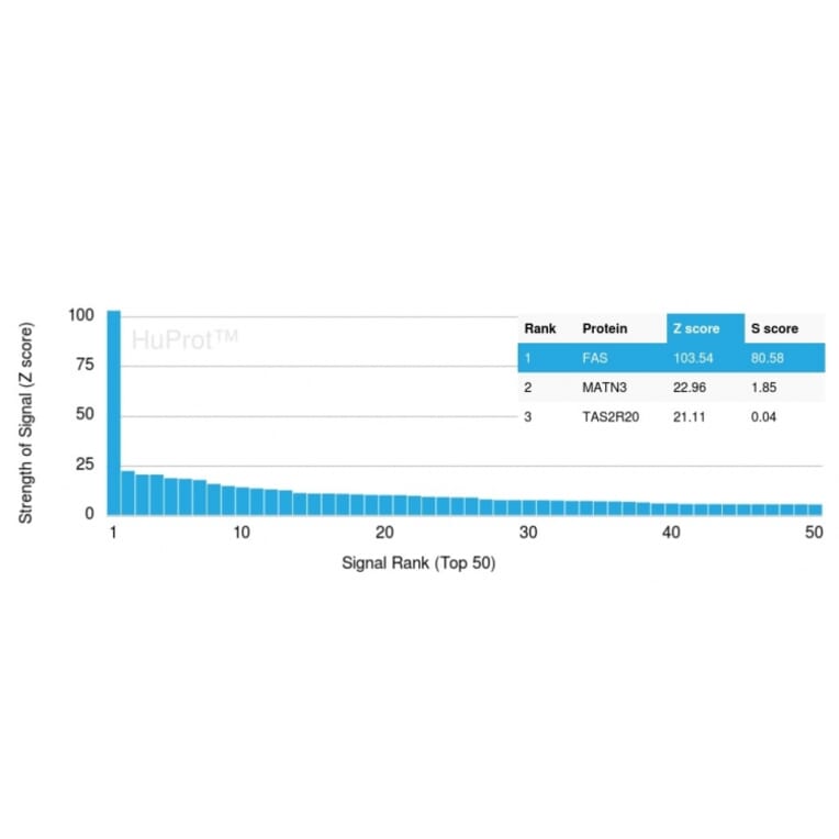 Protein Array - Anti-Fas Antibody [FAS/3588] - BSA and Azide free (A252200) - Antibodies.com