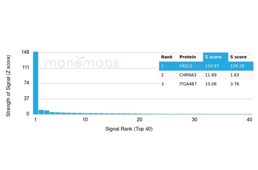 Protein Array - Anti-Fas Ligand Antibody [FASLG/4455] - BSA and Azide free (A252205) - Antibodies.com
