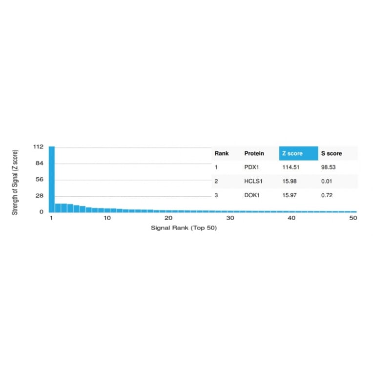 Protein Array - Anti-PDX1 Antibody [PCRP-PDX1-2C11] - BSA and Azide free (A252227) - Antibodies.com