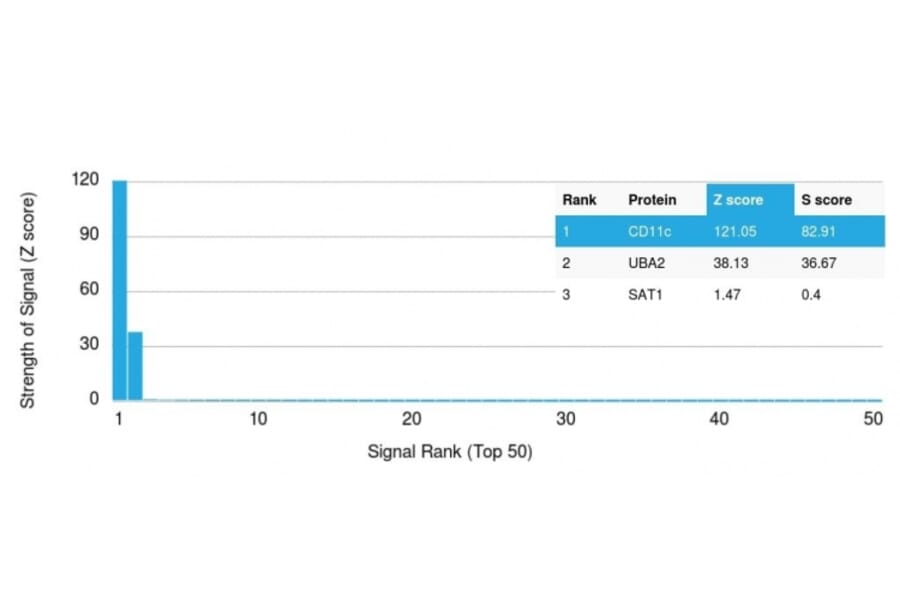 Protein Array - Anti-CD11c Antibody [ITGAX/1242] - BSA and Azide free (A252251) - Antibodies.com