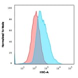 Flow Cytometry - Anti-gamma Catenin Antibody [11E4] - BSA and Azide free (A252275) - Antibodies.com