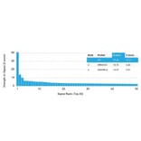 Protein Array - Anti-c-Kit Antibody [KIT/2670] - BSA and Azide free (A252287) - Antibodies.com