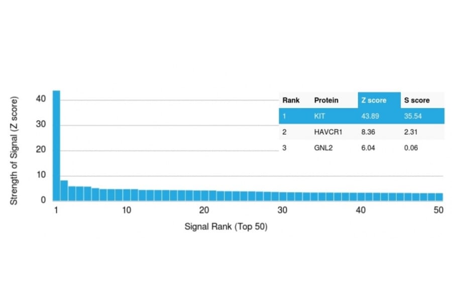 Protein Array - Anti-c-Kit Antibody [KIT/2674] - BSA and Azide free (A252290) - Antibodies.com
