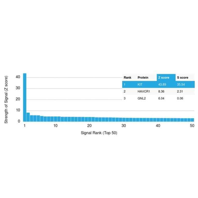 Protein Array - Anti-c-Kit Antibody [KIT/2674] - BSA and Azide free (A252290) - Antibodies.com