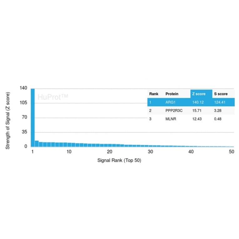 Protein Array - Anti-Arginase 1 Antibody [ARG1/1126] - BSA and Azide free (A252296) - Antibodies.com