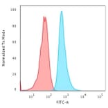 Flow Cytometry - Anti-Cytokeratin 6A Antibody [KRT6A/2368] - BSA and Azide free (A252310) - Antibodies.com