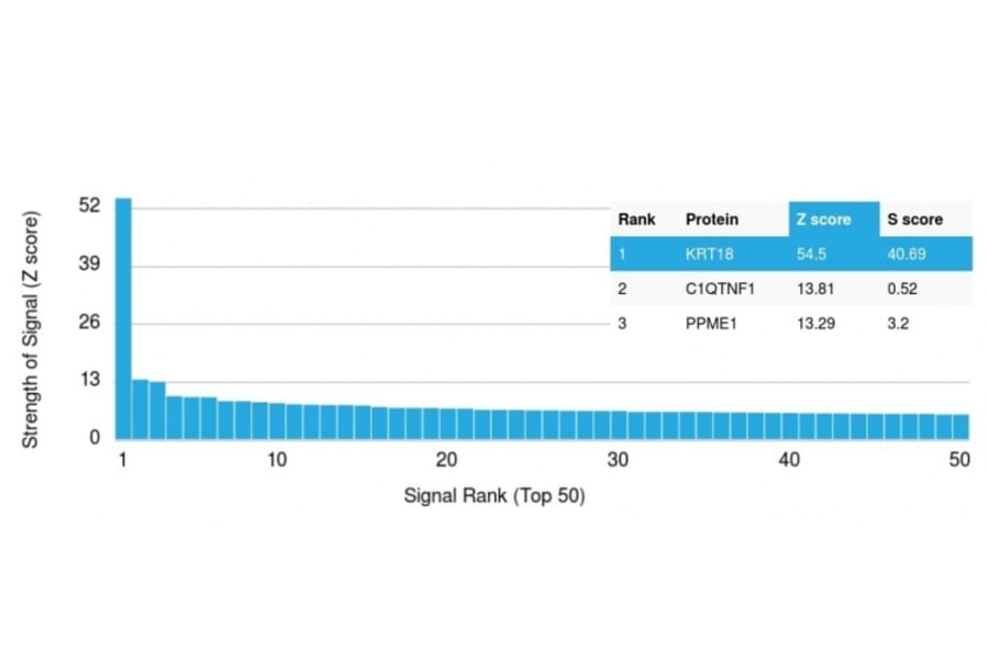 Protein Array - Anti-Cytokeratin 18 Antibody [KRT18/836] - BSA and Azide free (A252380) - Antibodies.com
