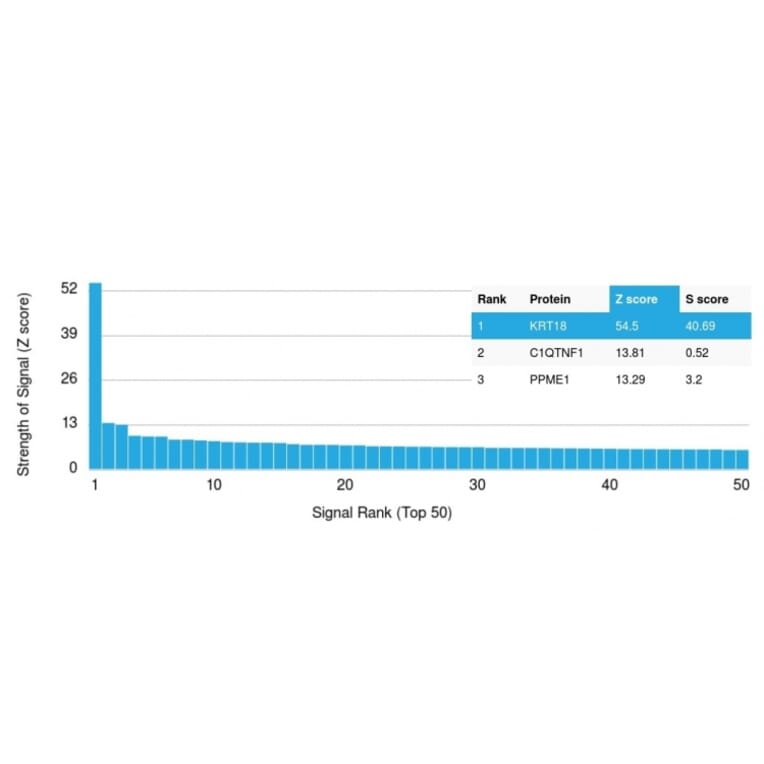 Protein Array - Anti-Cytokeratin 18 Antibody [KRT18/836] - BSA and Azide free (A252380) - Antibodies.com