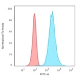 Flow Cytometry - Anti-Cytokeratin 18 Antibody [KRT18/2808R] - BSA and Azide free (A252384) - Antibodies.com