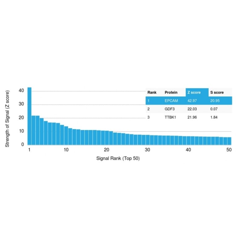 Protein Array - Anti-EpCAM Antibody [EGP40/1110] - BSA and Azide free (A252422) - Antibodies.com