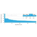 Protein Array - Anti-Myelin Basic Protein Antibody [MBP/4277R] - BSA and Azide free (A252464) - Antibodies.com