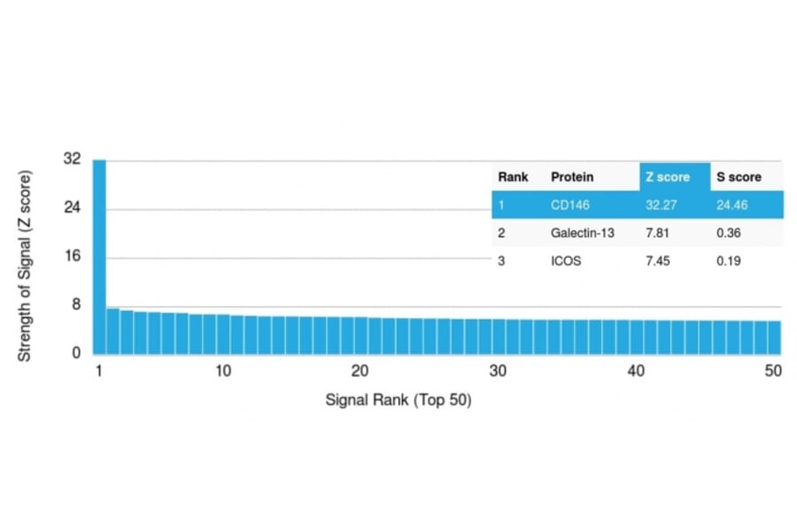 Protein Array - Anti-CD146 Antibody [MCAM/3048] - BSA and Azide free (A252475) - Antibodies.com
