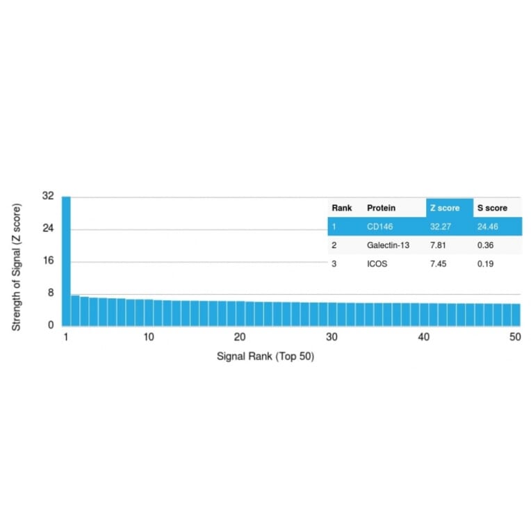 Protein Array - Anti-CD146 Antibody [MCAM/3048] - BSA and Azide free (A252475) - Antibodies.com