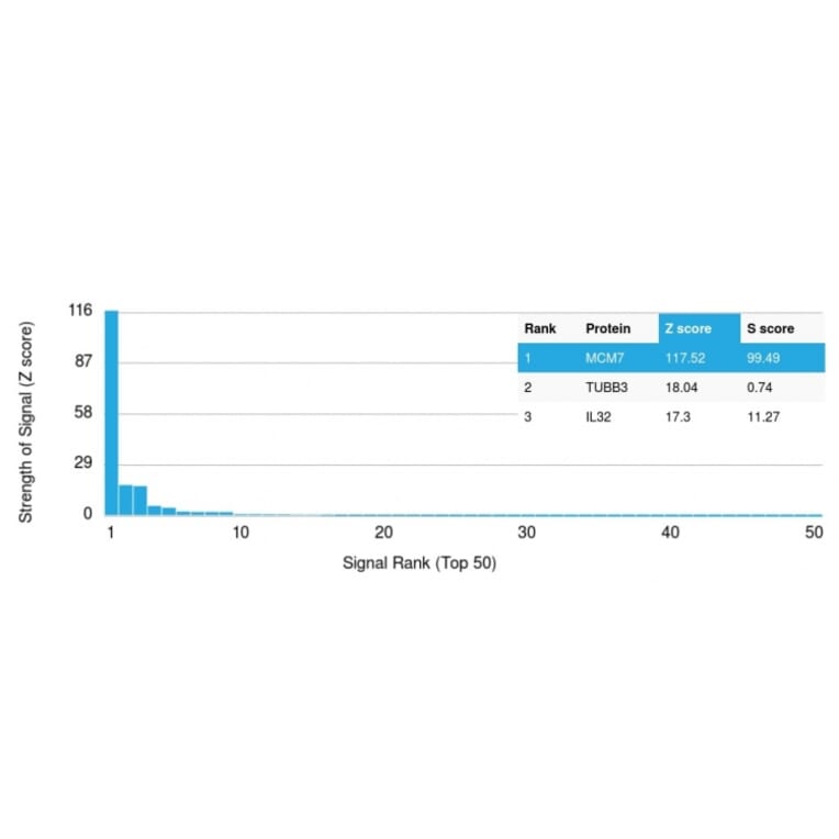 Protein Array - Anti-MCM7 Antibody [rMCM7/1468] - BSA and Azide free (A252484) - Antibodies.com