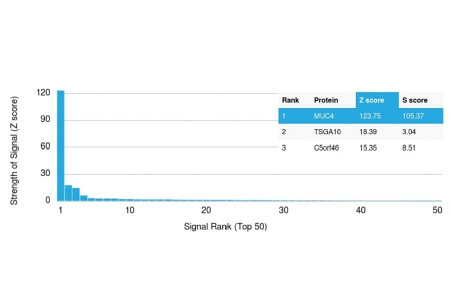 Protein Array - Anti-MUC4 Antibody [MUC4/3084] - BSA and Azide free (A252607) - Antibodies.com