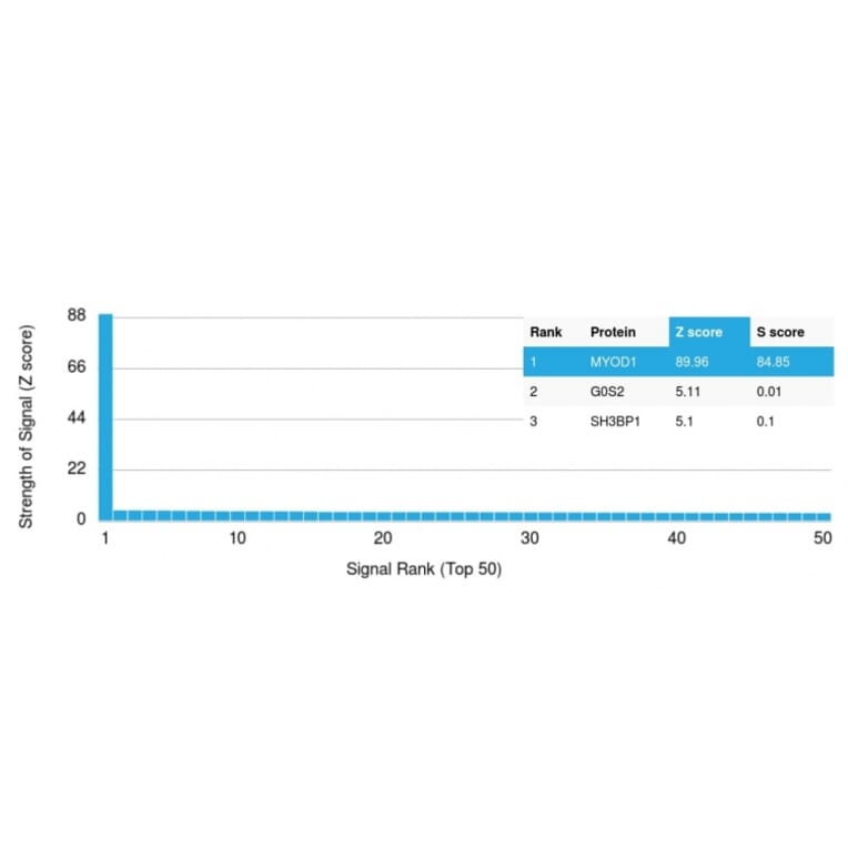 Protein Array - Anti-MyoD1 Antibody [MYOD1/2075R] - BSA and Azide free (A252646) - Antibodies.com