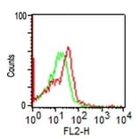 Flow Cytometry - Anti-NCAM1 Antibody [SPM128] - BSA and Azide free (A252654) - Antibodies.com