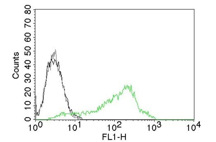 Flow Cytometry - Anti-Nucleolin Antibody [NCL/902] - BSA and Azide free (A252662) - Antibodies.com