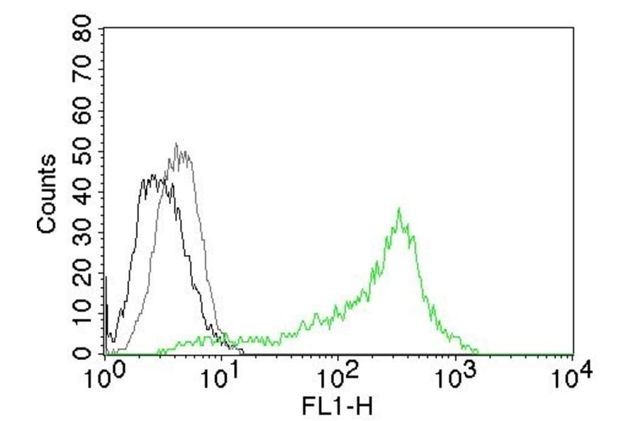 Flow Cytometry - Anti-Nucleolin Antibody [364-5] - BSA and Azide free (A252664) - Antibodies.com