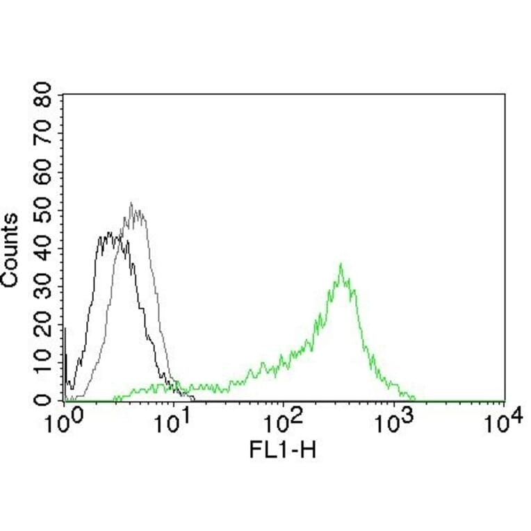 Flow Cytometry - Anti-Nucleolin Antibody [364-5] - BSA and Azide free (A252664) - Antibodies.com