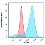 Flow Cytometry - Anti-NF-L Antibody [NR-4] - BSA and Azide free (A252673) - Antibodies.com