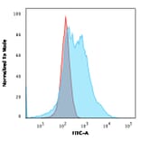 Flow Cytometry - Anti-Nucleophosmin Antibody [NPM1/3286] - BSA and Azide free (A252708) - Antibodies.com