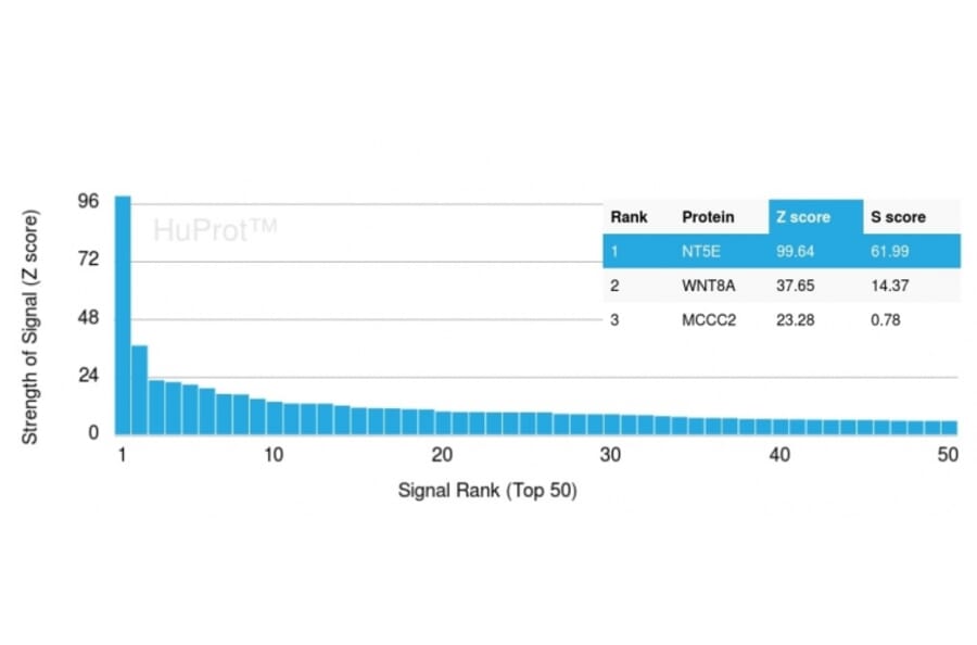 Protein Array - Anti-CD73 Antibody [NT5E/2503] - BSA and Azide free (A252715) - Antibodies.com