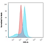 Flow Cytometry - Anti-CD73 Antibody [NT5E/2545] - BSA and Azide free (A252718) - Antibodies.com