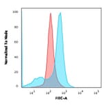 Flow Cytometry - Anti-CD73 Antibody [NT5E/2646] - BSA and Azide free (A252719) - Antibodies.com