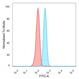 Flow Cytometry - Anti-ThPok Antibody [PCRP-ZBTB7B-1B6] - BSA and Azide free (A252755) - Antibodies.com