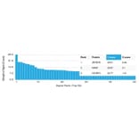 Protein Array - Anti-ThPok Antibody [PCRP-ZBTB7B-1B6] - BSA and Azide free (A252754) - Antibodies.com