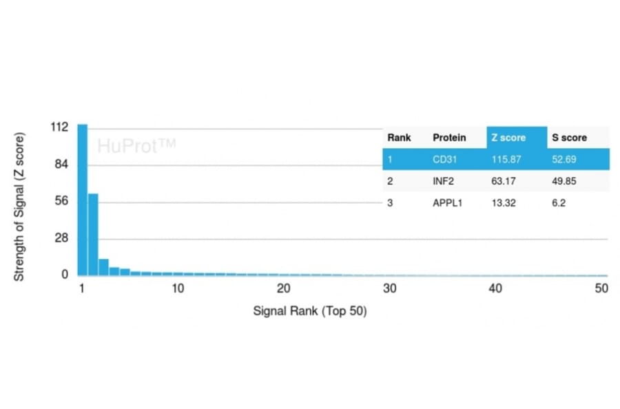 Protein Array - Anti-CD31 Antibody [PECAM1/3529] - BSA and Azide free (A252777) - Antibodies.com