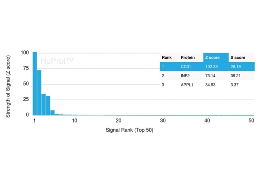 Protein Array - Anti-CD31 Antibody [PECAM1/3530] - BSA and Azide free (A252779) - Antibodies.com