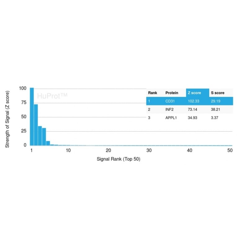 Protein Array - Anti-CD31 Antibody [PECAM1/3530] - BSA and Azide free (A252779) - Antibodies.com