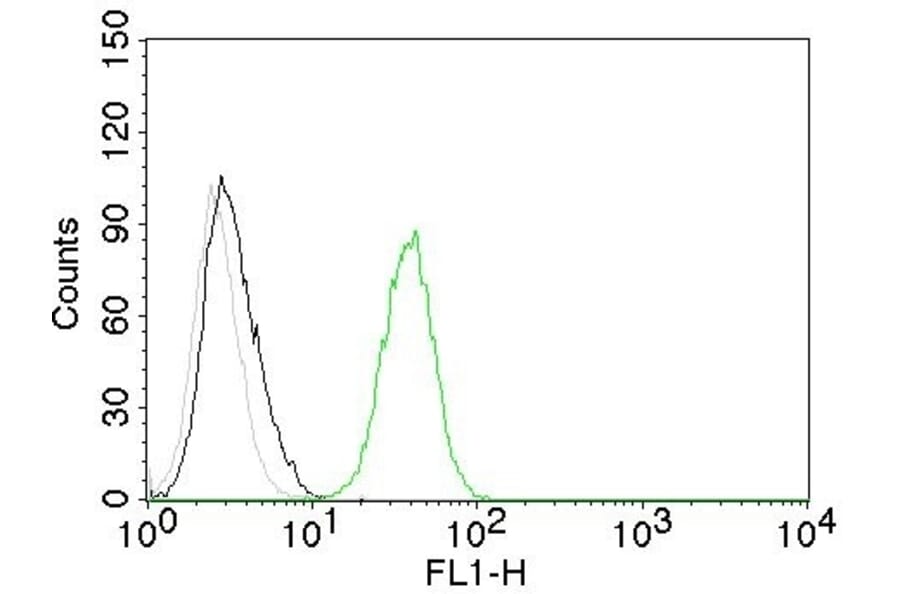 Flow Cytometry - Anti-CD31 Antibody [C31.10] - BSA and Azide free (A252785) - Antibodies.com