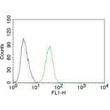 Flow Cytometry - Anti-CD31 Antibody [C31.10] - BSA and Azide free (A252785) - Antibodies.com