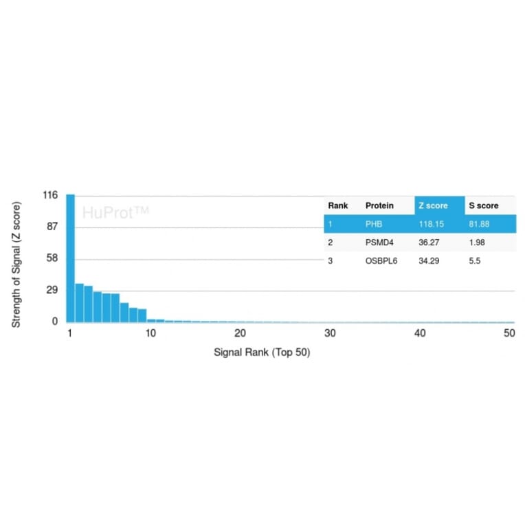 Protein Array - Anti-Prohibitin Antibody [PHB/3230] - BSA and Azide free (A252799) - Antibodies.com