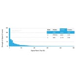 Protein Array - Anti-Prohibitin Antibody [PHB/3194] - BSA and Azide free (A252805) - Antibodies.com