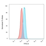 Flow Cytometry - Anti-CHRAC17 Antibody [PCRP-POLE3-2F10] - BSA and Azide free (A252821) - Antibodies.com