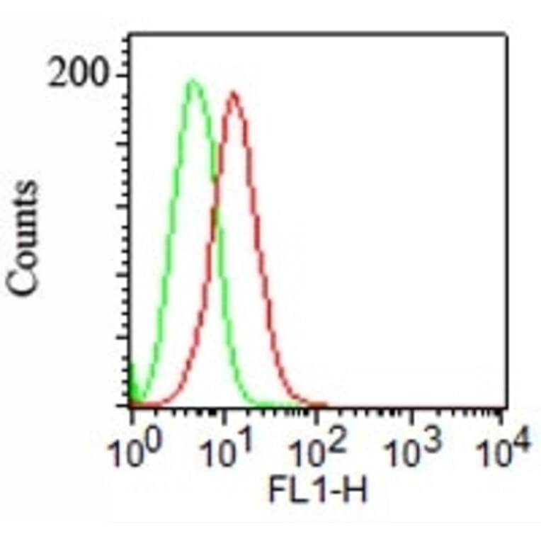 Flow Cytometry - Anti-Podocalyxin Antibody [3D3] - BSA and Azide free (A252829) - Antibodies.com