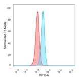 Flow Cytometry - Anti-HOMEZ Antibody [PCRP-HOMEZ-1A5] - BSA and Azide free (A252955) - Antibodies.com